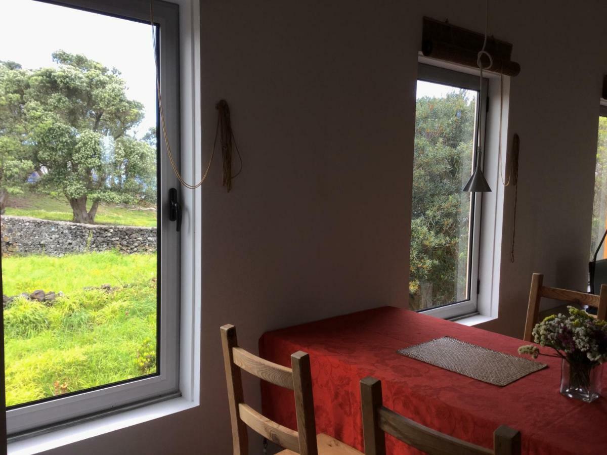 Quinta da Falésia - Casa Amarela Ponta Delgada Kültér fotó