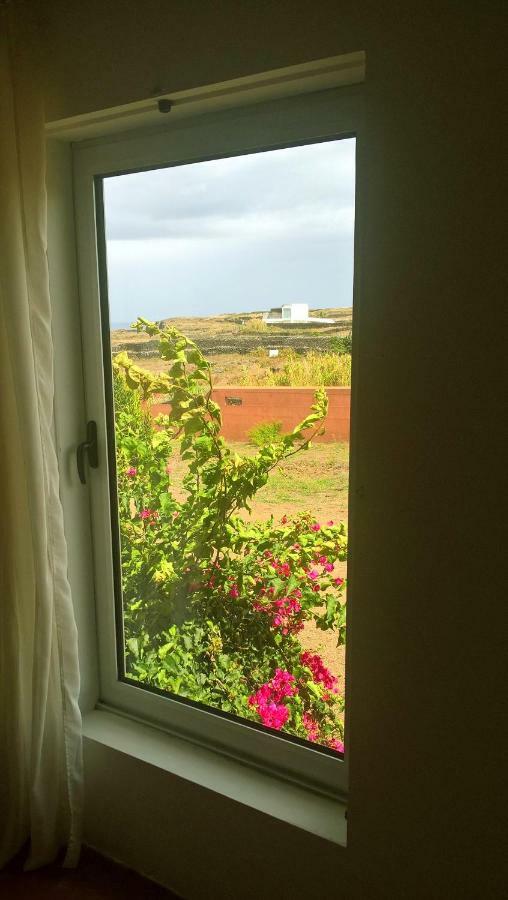 Quinta da Falésia - Casa Amarela Ponta Delgada Kültér fotó
