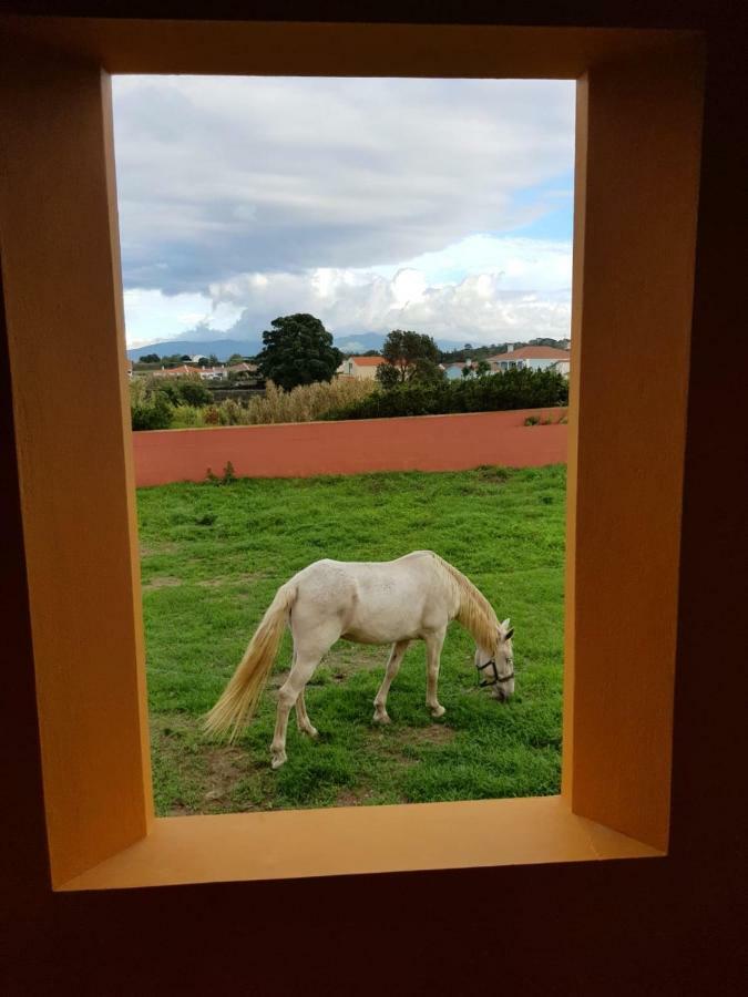Quinta da Falésia - Casa Amarela Ponta Delgada Kültér fotó