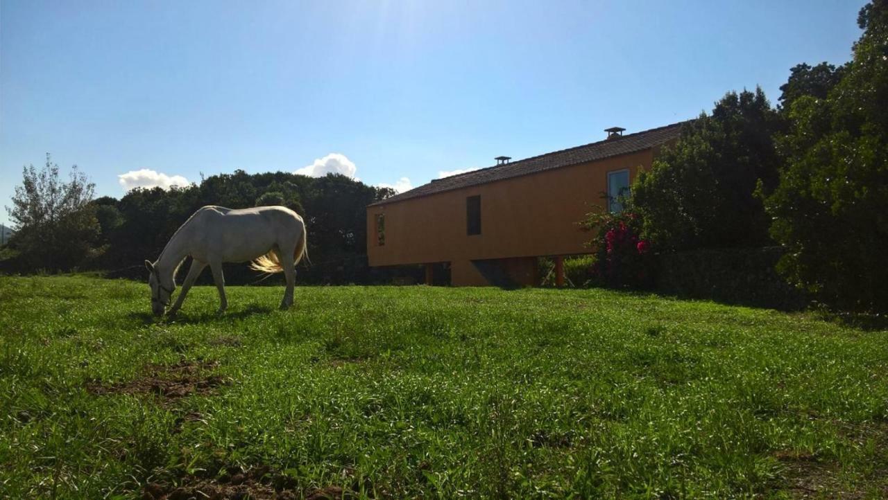 Quinta da Falésia - Casa Amarela Ponta Delgada Kültér fotó