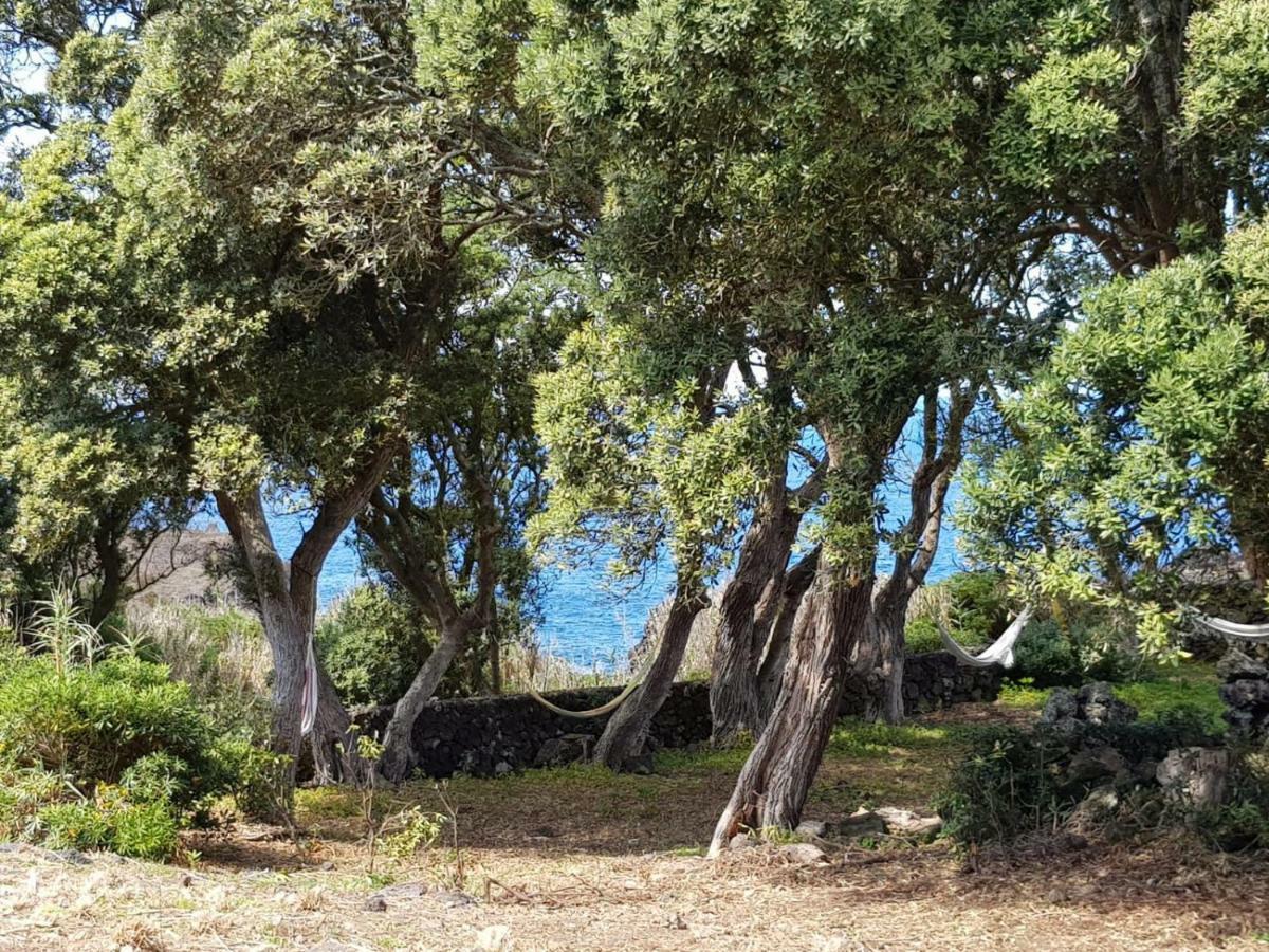 Quinta da Falésia - Casa Amarela Ponta Delgada Kültér fotó