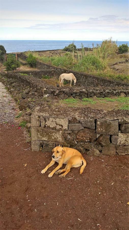 Quinta da Falésia - Casa Amarela Ponta Delgada Kültér fotó
